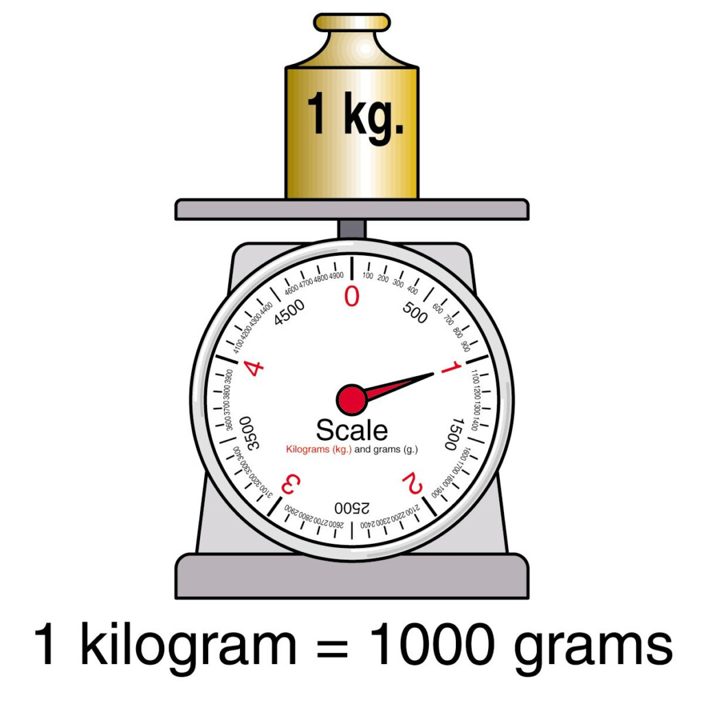 1793 France Introduces The First Metric Weight The Kilogram