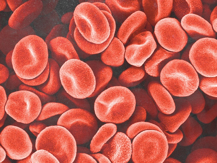 Blood Components Functions Groups And Disorders
