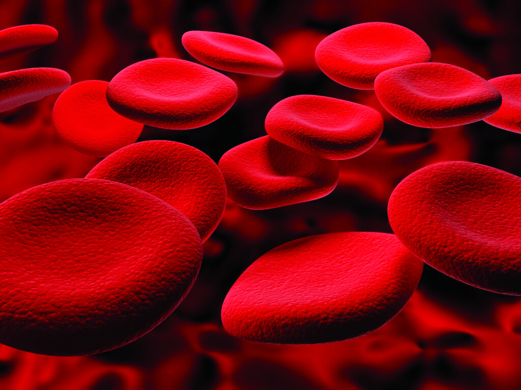 Blood HealthScope