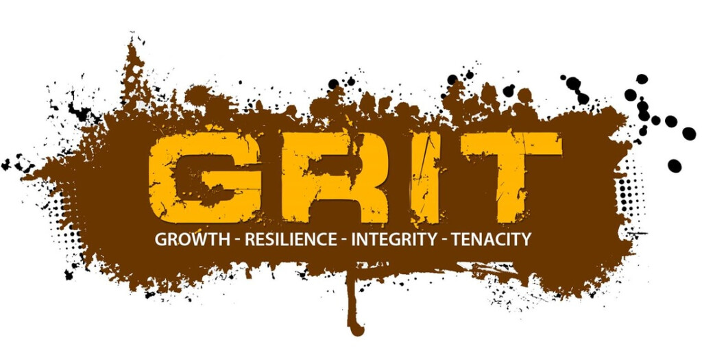 Grit What Is It Mrs Champlin 39 s Educational Resources