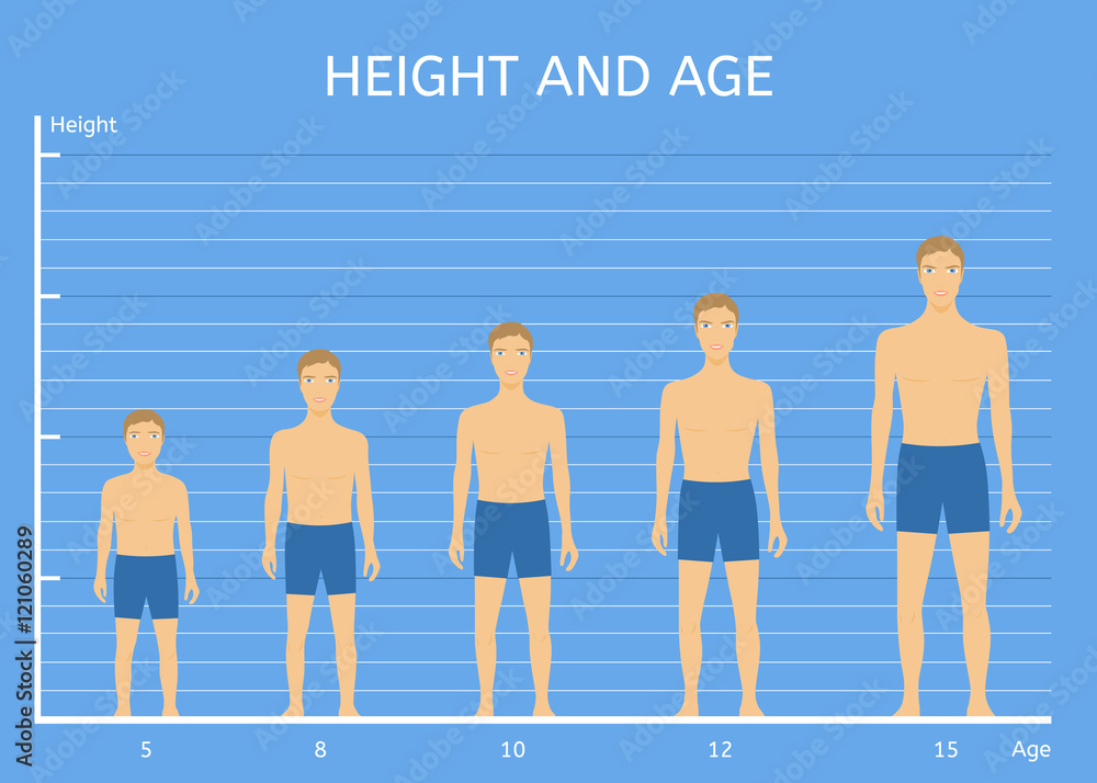 Height And Age Boys The Average Height Of Children Of Different Ages 