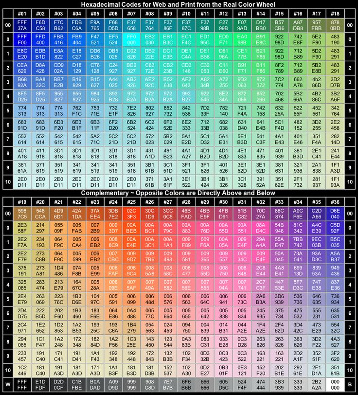 Hex Color Codes Coloring