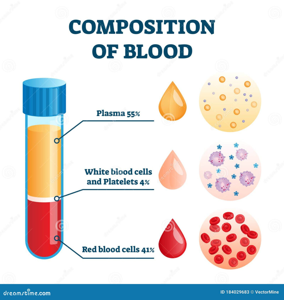 Human Blood Chemical Makeup Makeupview co