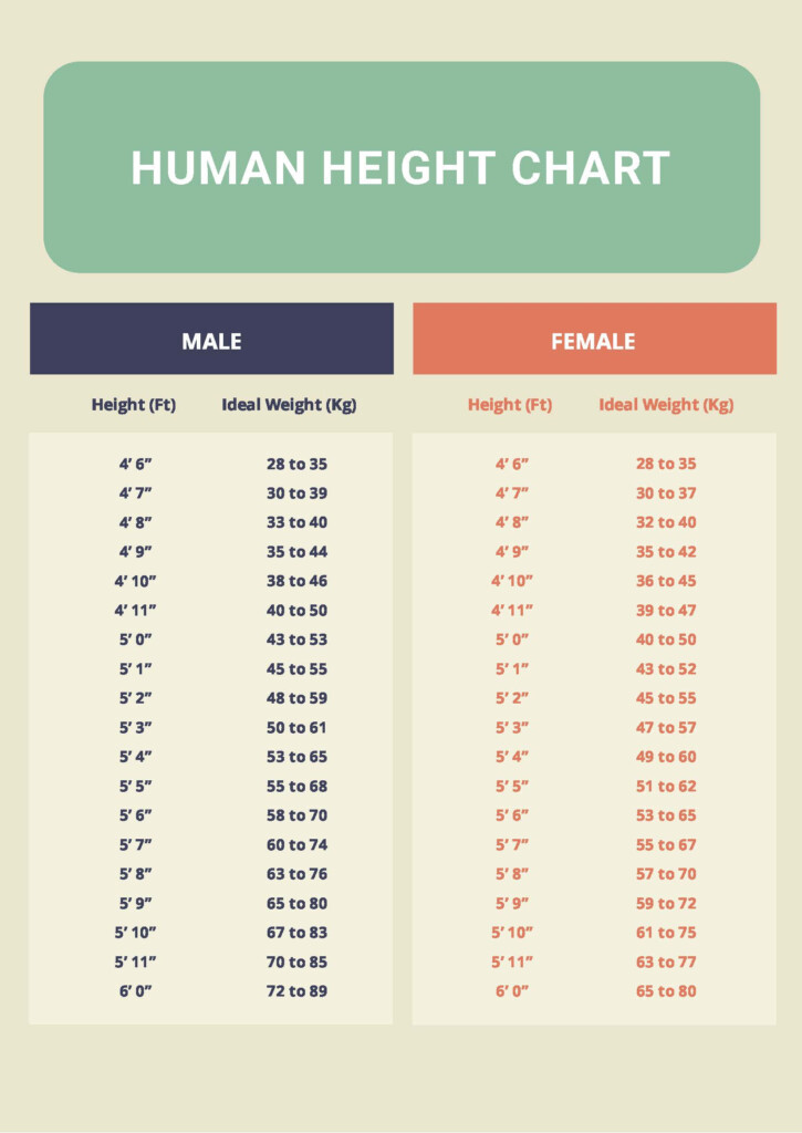 Human Height Chart In PDF Download Template
