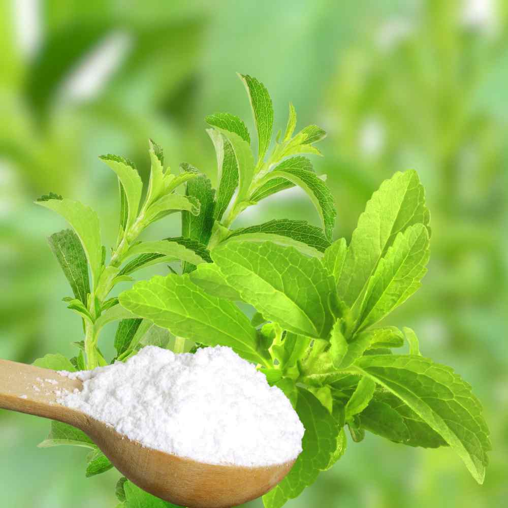 Stevia Seed Sweet Leaf Herb Seeds