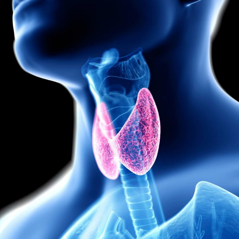 Thyroid Specialists Thyroid Naturopaths Thyroid Testing Sydney 